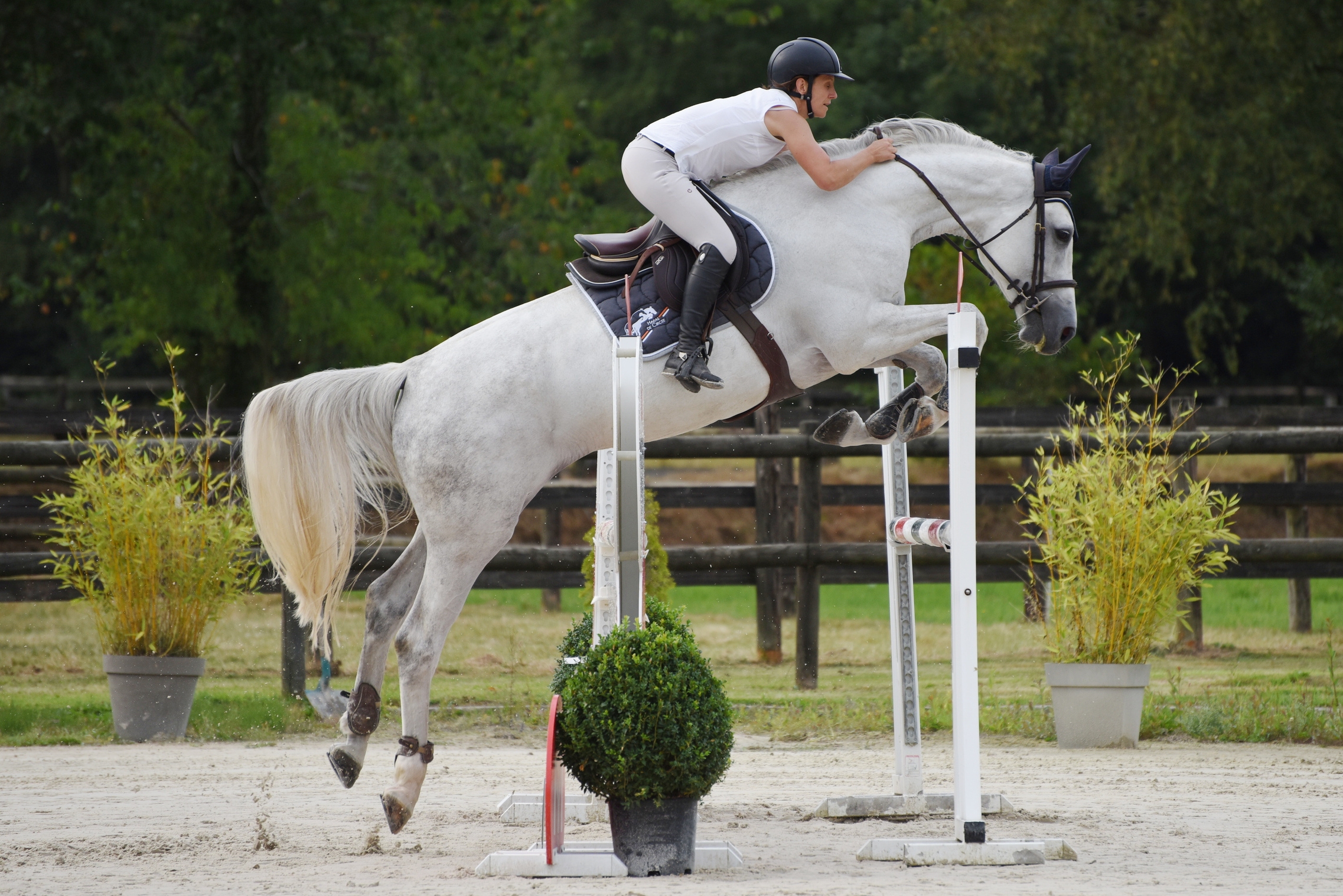 Deauville St Gatien - 27/07/2018 
Photo sportsenphotos